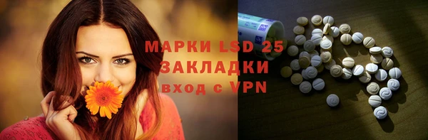 индика Армянск