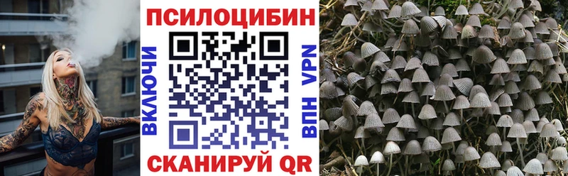 Псилоцибиновые грибы мицелий  Пролетарск 